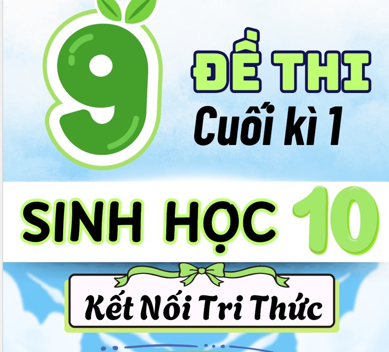 9 Đề thi Sinh Học 10 cuối học kì 1 có Ma trận & Đáp án (Kết nối tri thức)